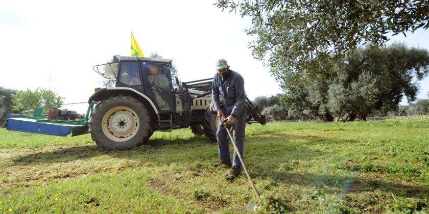 Lavori da fare in giardino e nell’orto in inverno-Foto da imagoeconomica