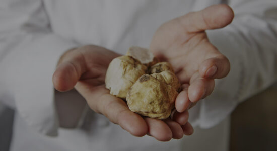 Le date di novembre da segnare in agenda per gli appassionati del tartufo bianco-Foto da imagoeconomica
