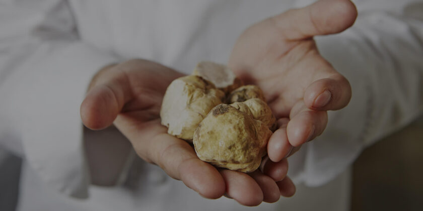 Le date di novembre da segnare in agenda per gli appassionati del tartufo bianco-Foto da imagoeconomica