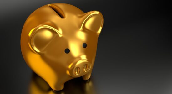 Sfida all’ultimo euro tra conto deposito e BTP-Foto da pixabay.com