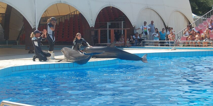 Zoosafari di Fasano-Autore Massimo-Foto da wikipedia