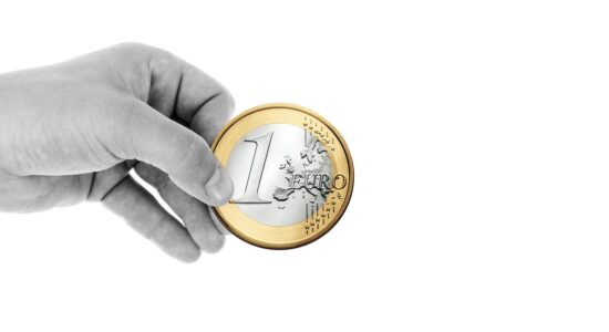 Assegno di inclusione si parte-Foto da pixabay.com