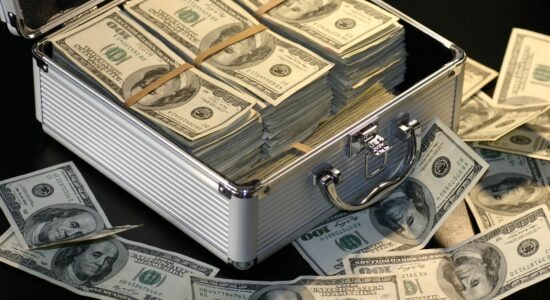 Previsioni per il 2024 del cambio euro dollaro-Foto da pixabay.com